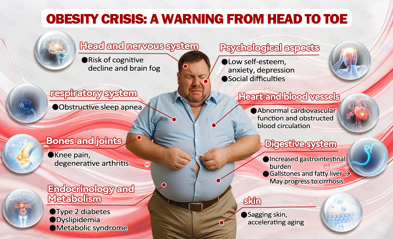 🇺🇸𝑶𝒇𝒇𝒊𝒄𝒊𝒂𝒍 𝑺𝒕𝒐𝒓𝒆𝑰𝐻𝐻𝑉𝐵®🌿𝑮𝑳𝑷-1+𝑪𝒐𝒍𝒍𝒂𝒈𝒆𝒏 𝑷𝒆𝒑𝒕𝒊𝒅𝒆𝒔 𝑾𝒆𝒊𝒈𝒉𝒕 𝑳𝒐𝒔𝒔&𝑭𝒊𝒓𝒎𝒊𝒏𝒈 𝑶𝒓𝒂𝒍 𝑺𝒐𝒍𝒖𝒕𝒊𝒐𝒏 𝒘𝒊𝒕𝒉 🔥𝑪𝒐𝒍𝒍𝒂𝒈𝒆𝒏 𝑷𝒆𝒑𝒕𝒊𝒅𝒆𝒔 & 𝑴𝒂𝒕𝒓𝒊𝒙𝒚𝒍 3000 𝒉𝒆𝒍𝒑𝒔 𝒕𝒂𝒓𝒈𝒆𝒕 ✅𝒐𝒃𝒆𝒔𝒊𝒕𝒚, 𝒇𝒊𝒓𝒎𝒔 𝒔𝒌𝒊𝒏,𝒄𝒂𝒓𝒅𝒊𝒐𝒗𝒂𝒔𝒄𝒖𝒍𝒂𝒓 𝒅𝒊𝒔𝒆𝒂𝒔𝒆, 𝒅𝒊𝒂𝒃𝒆𝒕𝒆𝒔, 𝒔𝒍𝒆𝒆𝒑 𝒂𝒑𝒏𝒆𝒂, 𝒋𝒐𝒊𝒏𝒕 𝒑𝒓𝒐𝒃𝒍𝒆𝒎𝒔, 𝒂𝒏𝒅 𝒎𝒐𝒓𝒆,