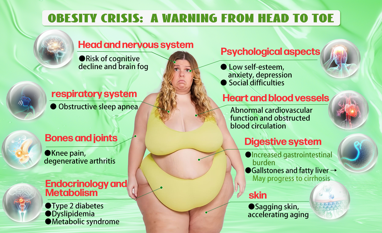 🇺🇸𝑶𝒇𝒇𝒊𝒄𝒊𝒂𝒍 𝑺𝒕𝒐𝒓𝒆|HH𝐕𝐁® 𝐍𝐀𝐃+ 𝐆𝐋𝐏-𝟏 Pro ALL-IN-ONE Fit&Vital 𝐎𝐫𝐚𝐥 𝐋𝐢𝐪𝐮𝐢𝐝 (𝐉𝐮𝐬𝐭 𝐨𝐧𝐜𝐞 𝐚 𝐝𝐚𝐲, 𝐯𝐢𝐬𝐢𝐛𝐥𝐞 𝐜𝐡𝐚𝐧𝐠𝐞𝐬 𝐢𝐧 𝟕 𝐝𝐚𝐲𝐬） ✅ 𝐅𝐨𝐫 𝐨𝐛𝐞𝐬𝐢𝐭𝐲, 𝐜𝐚𝐫𝐝𝐢𝐨𝐯𝐚𝐬𝐜𝐮𝐥𝐚𝐫 𝐡𝐞𝐚𝐥𝐭𝐡, 𝐝𝐢𝐚𝐛𝐞𝐭𝐞𝐬, 𝐬𝐥𝐞𝐞𝐩 𝐚𝐩𝐧𝐞𝐚, 𝐆𝐮𝐭 𝐇𝐞𝐚𝐥𝐭𝐡, 𝐣𝐨𝐢𝐧𝐭 𝐢𝐬𝐬𝐮𝐞𝐬, 𝐚𝐧𝐝 𝐦𝐨𝐫𝐞